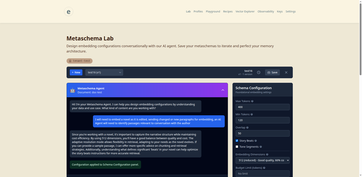 Enscribe Metaschema Lab - Design embedding configurations conversationally with our AI agent